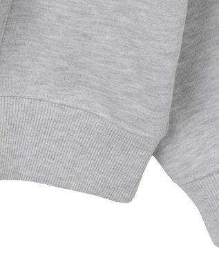 WEGO 【ユニセックス着用ITEM】ワッペンロゴパーカー アッシュグレー