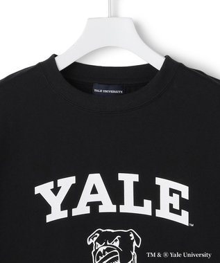 J.PRESS YORK STREET 【YALE別注】【UNISEX】ブルドッグ プリント Tシャツ ブラック系