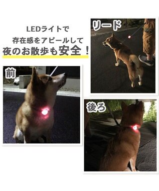 PET PARADISE 犬 散歩 夜 光る 苺柄 ＬＥＤ お散歩ライト ピンク（淡）