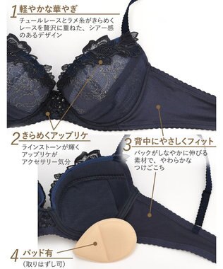 Wing Wing Lesiage　【2720シリーズ】ブラジャー　シアー感のあるラグジュアリーなデザイン　ウイング／ワコール　PB2720 コン