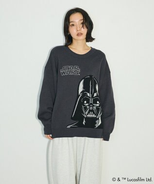 Green Parks ＳＴＡＲ　ＷＡＲＳ／ダース・ベイダーニット