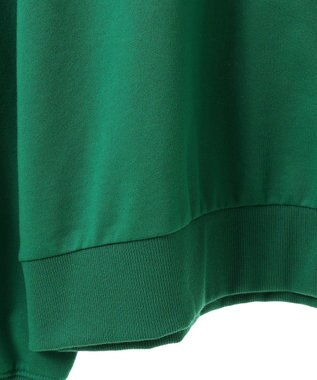 Green Parks Ｍｉｆｆｙ／ナンバーロゴミニ裏毛プルオーバー Green