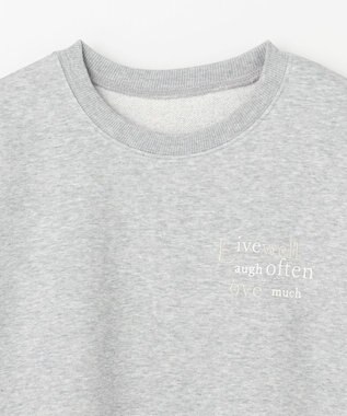 ANY ロゴスウェット ライトグレー