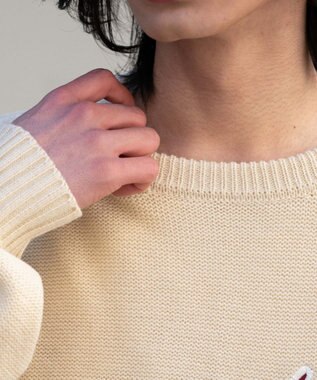 WEGO サテンワッペンニットプルオーバー ホワイト