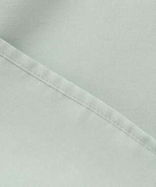 J.PRESS LADIES S 【洗える・イージーケア】ライトタンブラー バンドカラー ブラウス ライトグリーン系