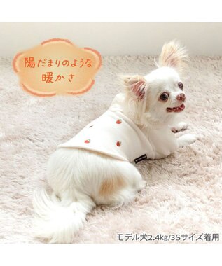 PET PARADISE ペットパラダイス ペティヒートDAN Tシャツ 《いちご柄》 小型犬 オフホワイト