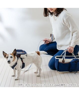 PET PARADISE ペットパラダイス ネイビー ライン入り リード ４Ｓ～３Ｓ 小型犬 ホワイト×ネイビー