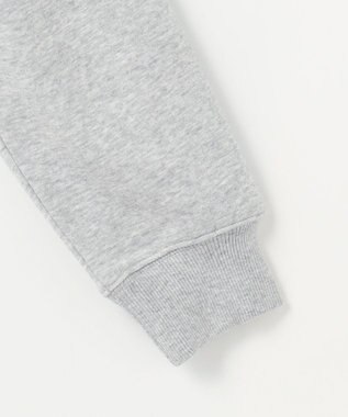 ANY ロゴスウェット ライトグレー