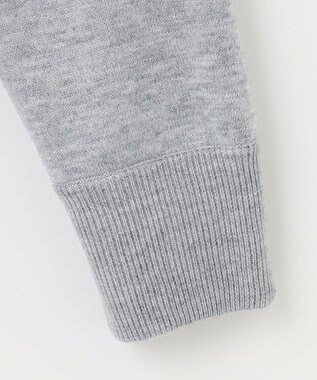 PW CIRCULUS 【WOMEN】【洗える】ベアスタンドモチーフ ラグランスリーブ クルーネック ニット ライトグレー系