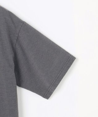 ANY ピグメントアソートロゴＴシャツ スレート