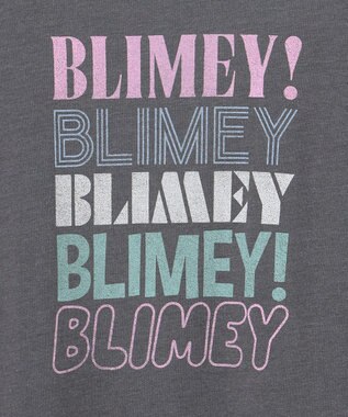 ANY ピグメントアソートロゴＴシャツ スレート