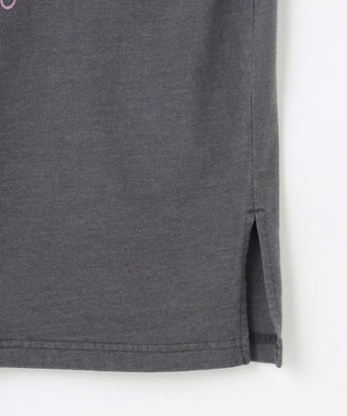 ANY ピグメントアソートロゴＴシャツ スレート