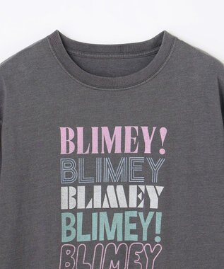 ANY ピグメントアソートロゴＴシャツ スレート