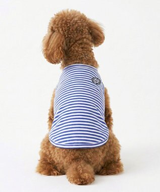 OP／FILA 【Ocean Pacific】ボーダードッグウェア ペットウェア ブルー