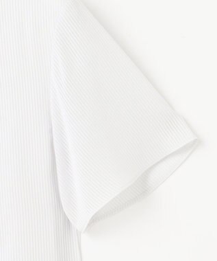 J.PRESS LADIES L シアーストライプ カットソー ライトグレー系1