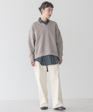 AMERICAN HOLIC Ｖネックスウェット Mocha