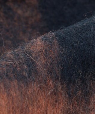 J.PRESS YORK STREET 【WOMEN】チェックマフラー イエロー系3