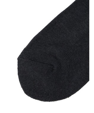 Green Parks ■ＦＲＵＩＴ　ＯＦ　ＴＨＥ　ＬＯＯＭ３Ｐラインロゴソックス Mix