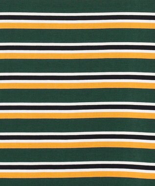 J.PRESS YORK STREET 【UNISEX】ベーシックボーダー Tシャツ ダークグリーン系2