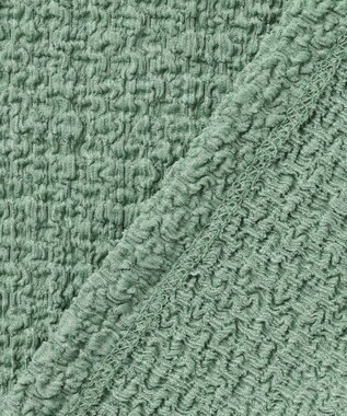 ANY L レースショート丈Tシャツ グリーン