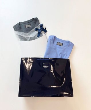 GOTAIRIKU 仕事で着られるTシャツ【サラサラ/よれにくい/透けにくい】キレイめ 鹿の子 ビズTシャツ サックスブルー系