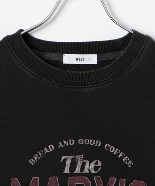 WEGO ピグメントスウェット 柄2