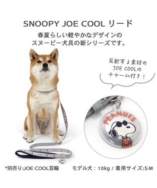 PET PARADISE 犬  スヌーピージョークール 反射 お揃いリード 【ＳＭ】 青