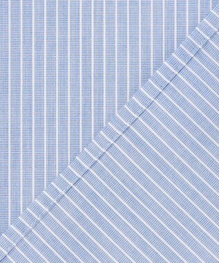 J.PRESS LADIES 【WEB限定カラーあり・2way】エステネージュ TYPEWRITER STRIPE シャツ サックスストライプ系