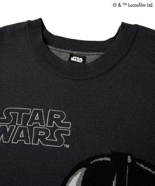 Green Parks ＳＴＡＲ　ＷＡＲＳ／ダース・ベイダーニット Charcoal Gray