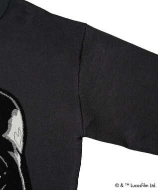 Green Parks ＳＴＡＲ　ＷＡＲＳ／ダース・ベイダーニット Charcoal Gray