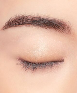 Chacott Cosmetics チャコット アイシャドウデュオ 【604ウォルナットニュアンス】 その他