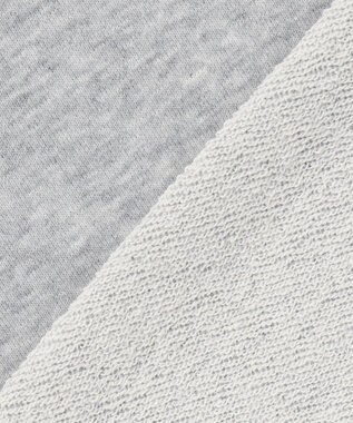 ANY ロゴスウェット ライトグレー