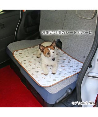 PET PARADISE ペットパラダイス makokoro 吸水マルチマット 《わんちゃん柄》 ホワイト