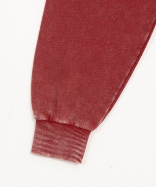 WEGO 【ユニセックス着用ITEM/SMLサイズ展開】グラフィックZIPパーカー レッド