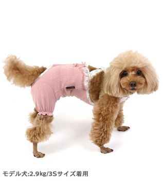 PET PARADISE 花柄 フリル マナーオール 【小型犬】 ピンク ピンク