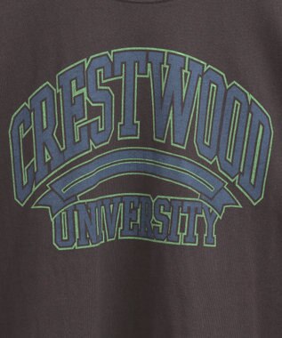 AMERICAN HOLIC バイオウォッシュ加工ロゴＴシャツ Blue