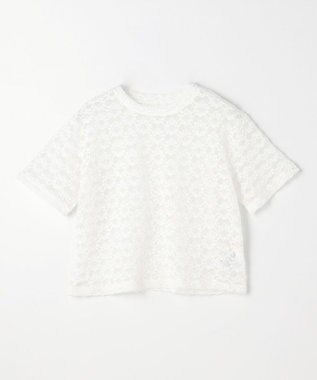 ANY L レースショート丈Tシャツ オフレース