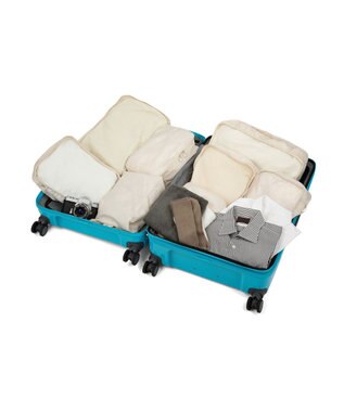 ACE BAGS & LUGGAGE ace. ディフェレンス スーツケース 88L 05724 シフォンブルー