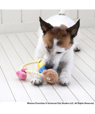 PET PARADISE ミニオン ボブ ティム ロープトイ  小型犬 イエロー