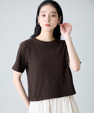 ANY L レースショート丈Tシャツ