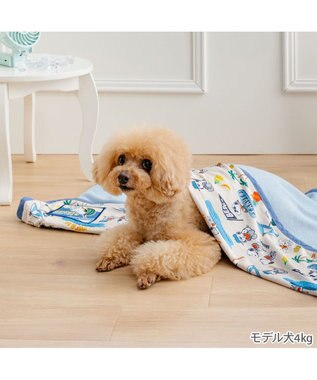 PET PARADISE スヌーピー クール ブランケット 《サマーバケーション》 マルチカラー