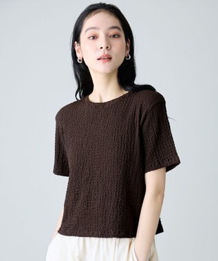 ANY L レースショート丈Tシャツ ブラウン