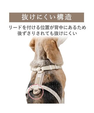 PET PARADISE ペットパラダイス くまちゃん アクティブハーネス ＳＭ 中型犬 ベージュ