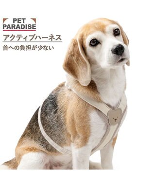 PET PARADISE ペットパラダイス くまちゃん アクティブハーネス ＳＭ 中型犬
