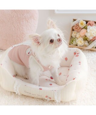 PET PARADISE ペットパラダイス カドラー 《花苺柄》 Ｓ ホワイト×レッド