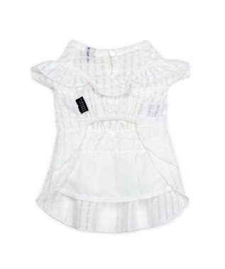 PET PARADISE cherircouture シースルーリボン ワンピース 小型犬 ホワイト