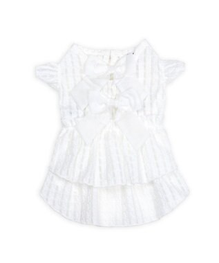 PET PARADISE cherircouture シースルーリボン ワンピース 小型犬 ホワイト