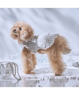 PET PARADISE cherircouture シースルーリボン ワンピース 小型犬 ホワイト