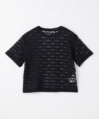 ANY L レースショート丈Tシャツ ブラックレース