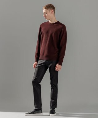 JOSEPH HOMME 【イージーケア】 ヴィスコースリンクス　クルーネックニット ワイン系